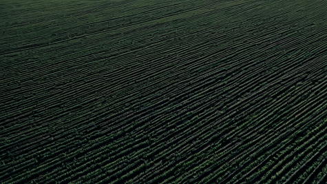 ai_generated 0e/9f/0e9f7c30c1c041fbb61541e6fd2b2928.png