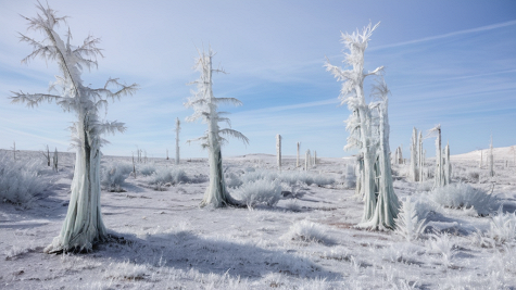 ai_generated 28/9f/289fc81e0ab74eff8f902fa3cf943abe.png