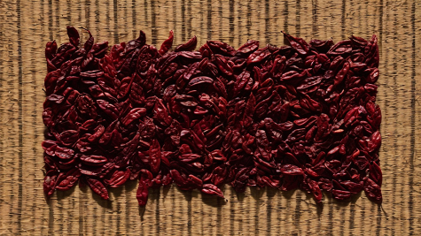 ai_generated 68/db/68dbd90904de4b46b10f4cca27bbd67a.png