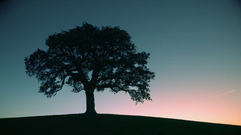 ai_generated 6c/c7/6cc782294c8b4b66b9b06cae2080bc14.png