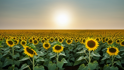 ai_generated 74/77/7477012f02f647c6a81d2405d631a001.png