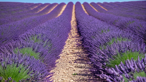 ai_generated 88/ea/88eae353f6a4488cbc0e099acd13d277.png