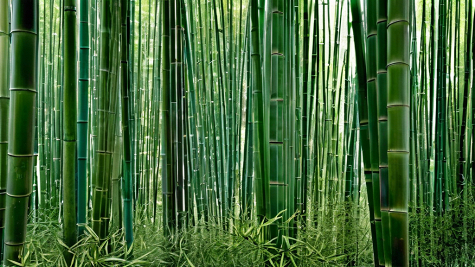 ai_generated 99/ef/99efccc005cf47049e534a0ee6372ec3.png