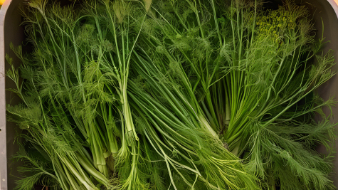 ai_generated aa/a3/aaa3b5176fbd465999188fe9e0f01776.png