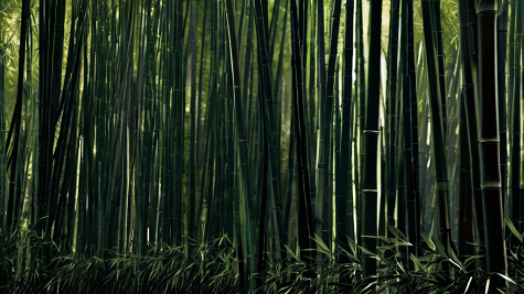 ai_generated ad/a6/ada662ce3feb4d2aa1586349112f7b8a.png