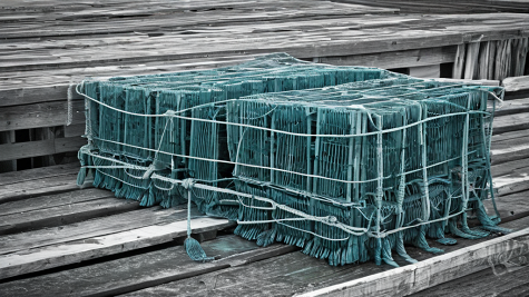 ai_generated e2/d5/e2d5eede38ef49ac9bceab51410a3430.png