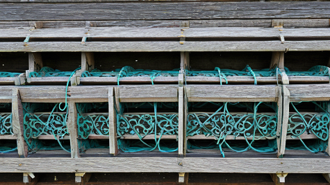 ai_generated e4/2f/e42ff0d270fb49bdaff0f5cd6b413939.png