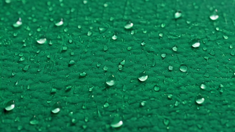 ai_generated ec/93/ec93fde3983246b3a45f4e2dbe45e2fd.png