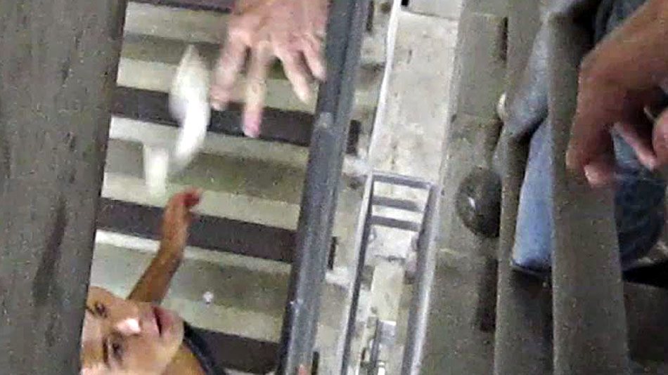 Its A Bird. Its A Plane. No Its